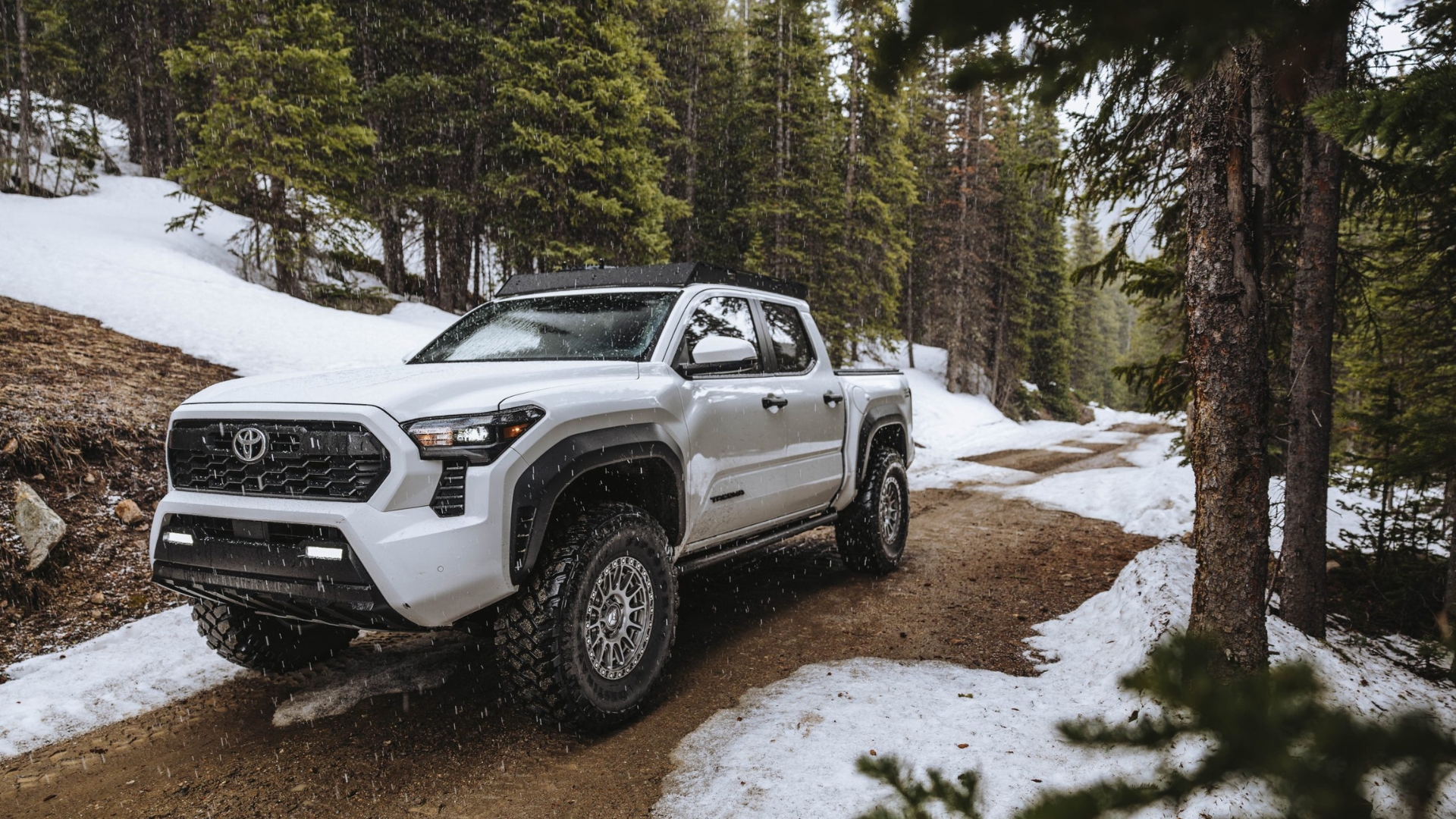 Untitled design (12)