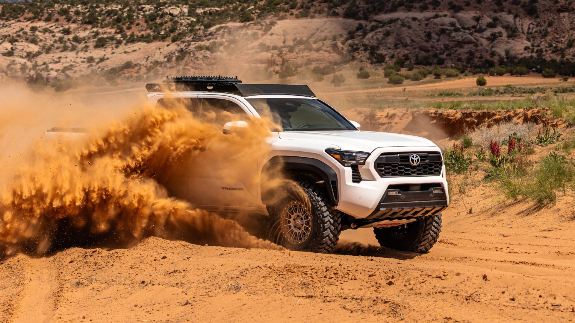 Untitled design (13)