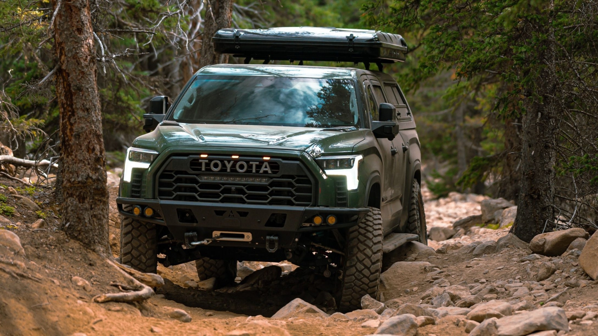 Untitled design (14)