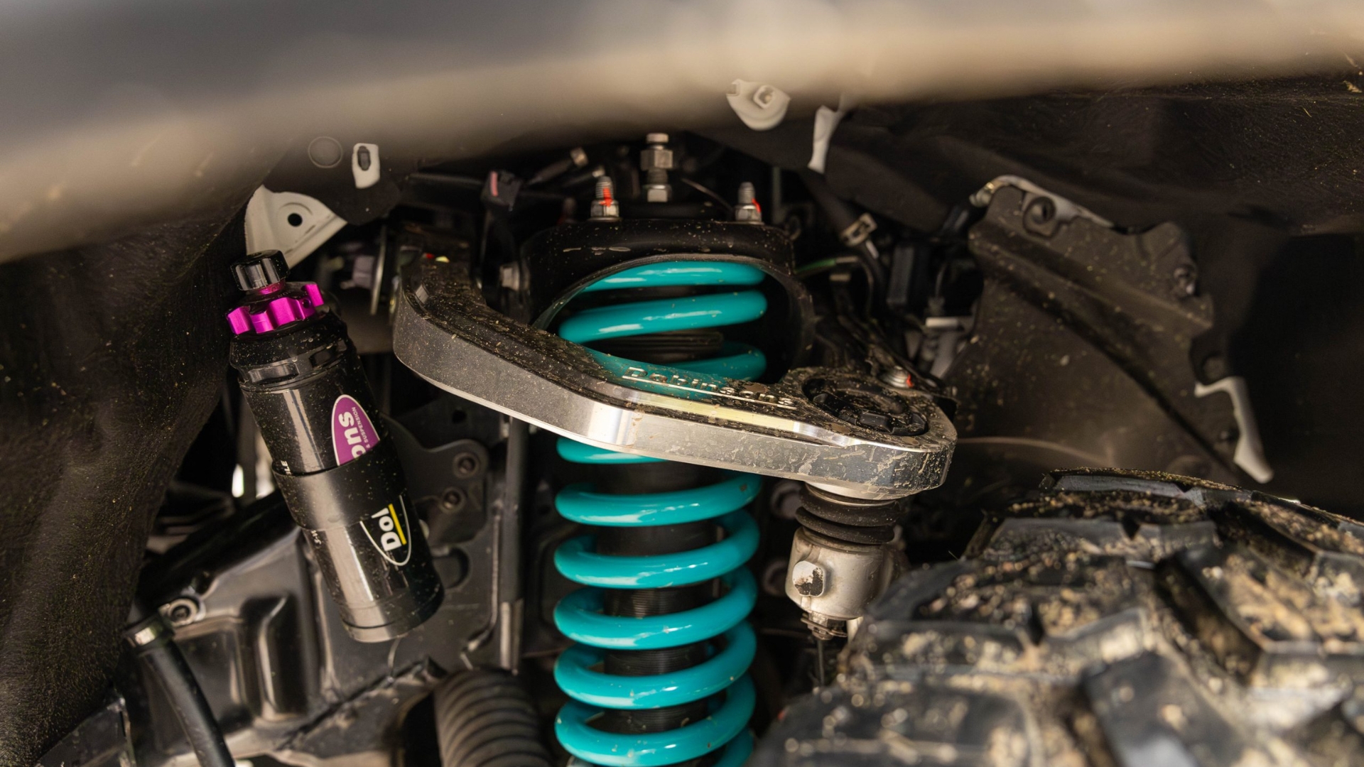 Untitled design (15)